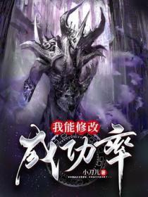 我能修改成功率TXT
