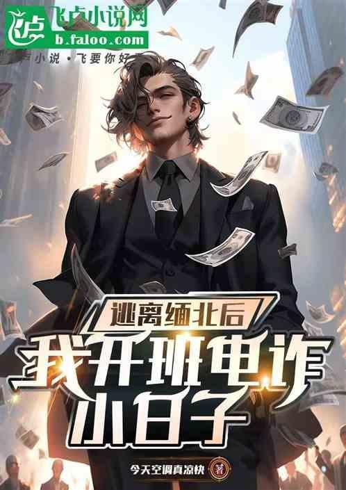 逃离缅甸电影