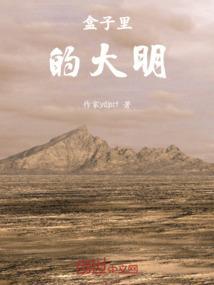 大盒子是什么意思