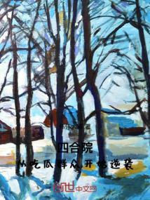 四合院从打游戏开始