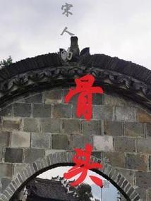 宋人是什么意思