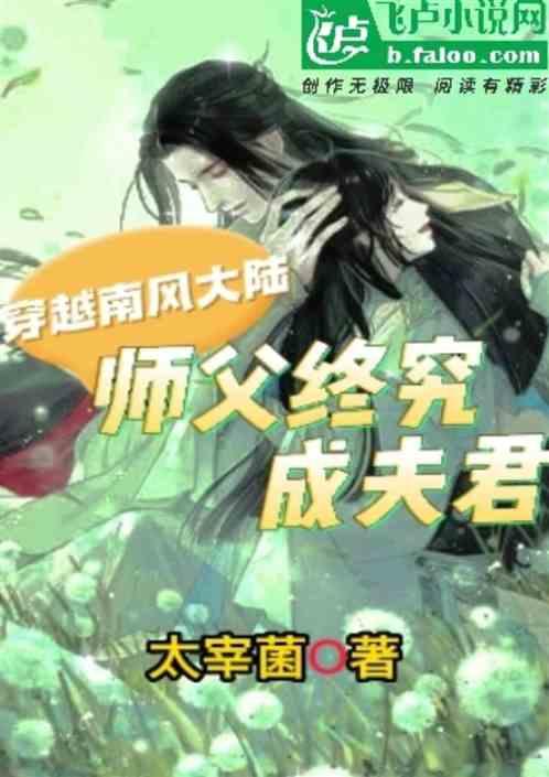 穿越南风大陆师父终究成夫君的