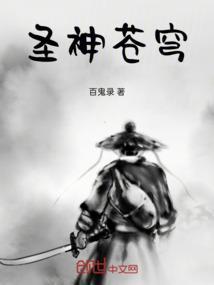 苍穹圣主顶点