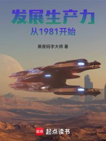 发展生产力从1981开始作者黑夜码字大