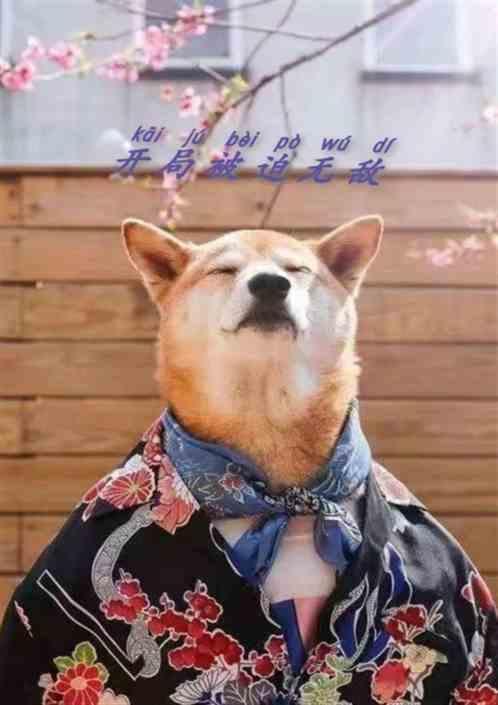 开局被迫当大佬