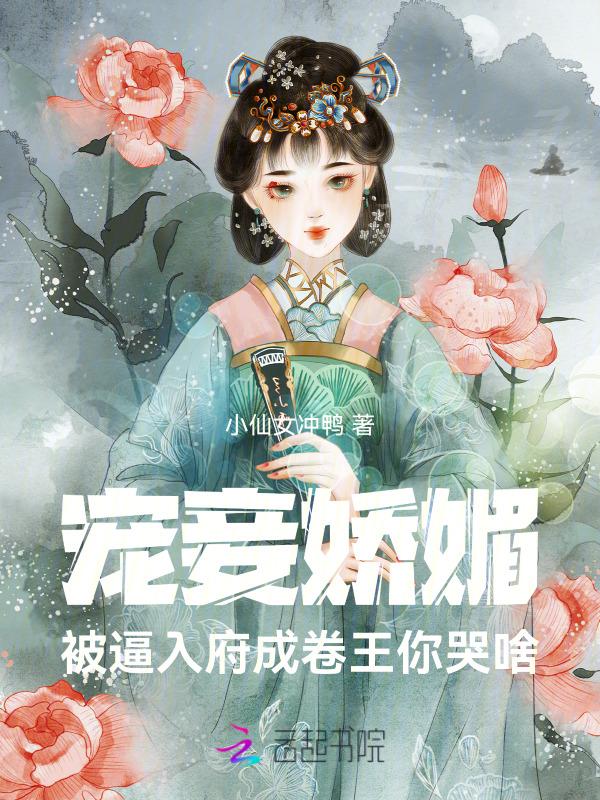 宠妾成妃的