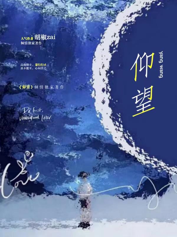 仰望u9价格