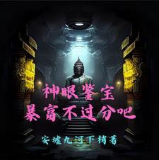 神眼鉴定师笔趣阁