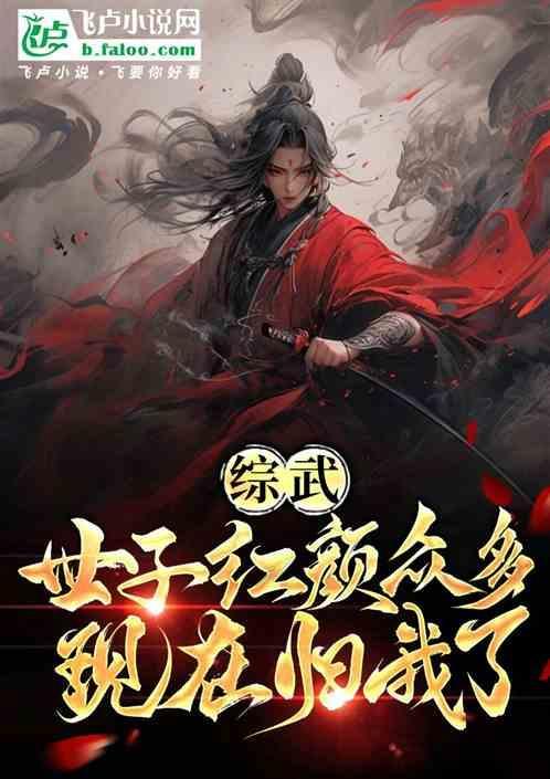 综武侠世子夫人