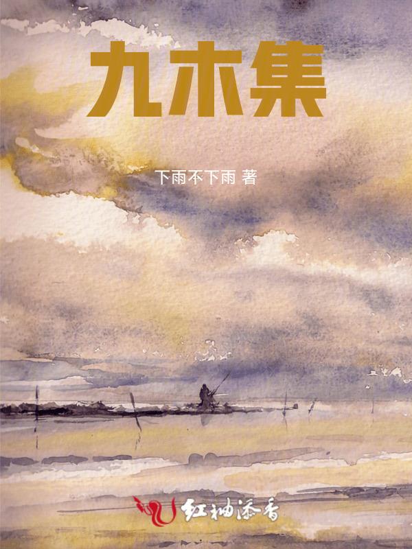 九木集团董事长林庆星