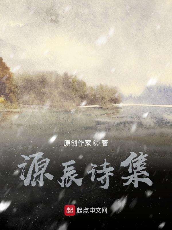 源辰公司