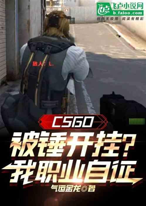 csgo被骂开挂