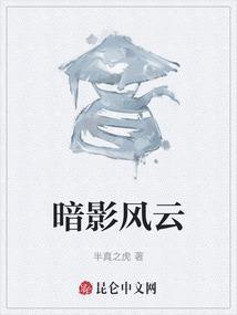 唐晓翼暗影风云