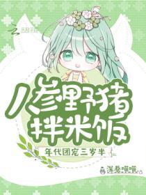 人参野猪拌米饭TXT