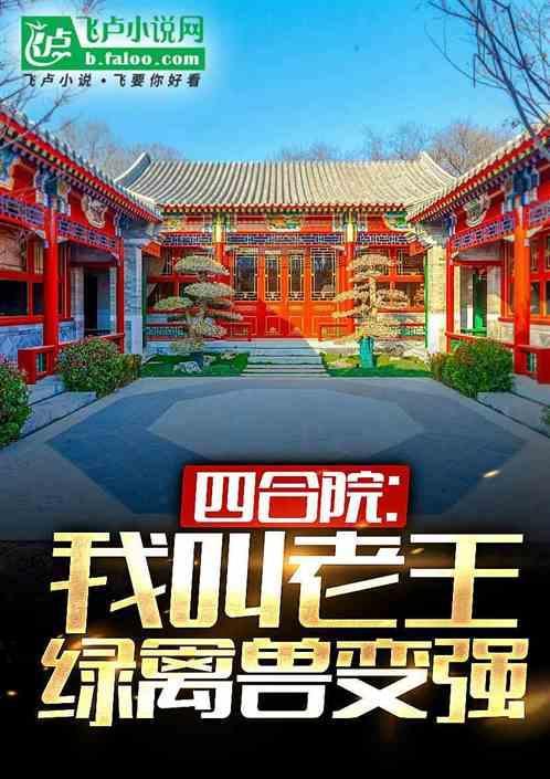 四合院邻居的电视
