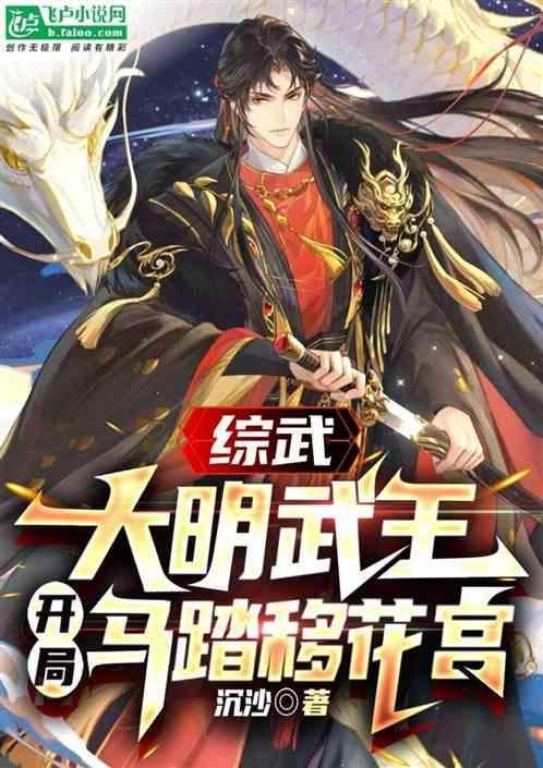 主角穿越大明综武世界的