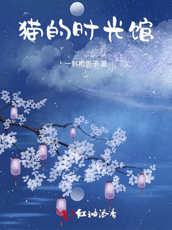 时光里的猫
