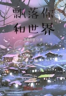 飘落歌词是什么意思