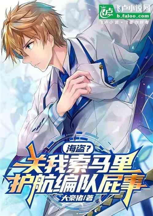 关于索马里海盗