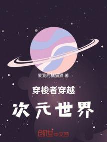 次元穿越者之星最强搭配