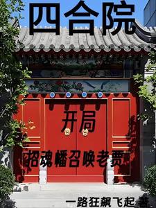 四合院我一大爷