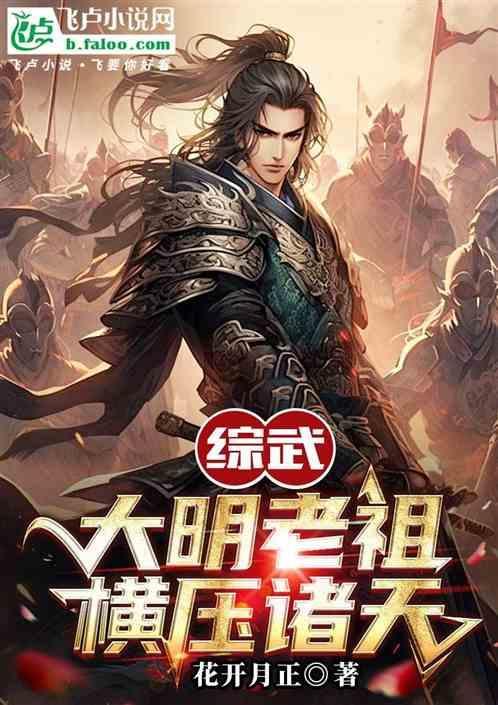 大明之综武大世界