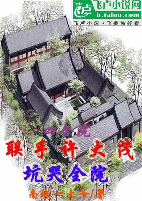 四合院许大茂他爸