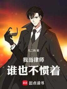 我当律师这些年