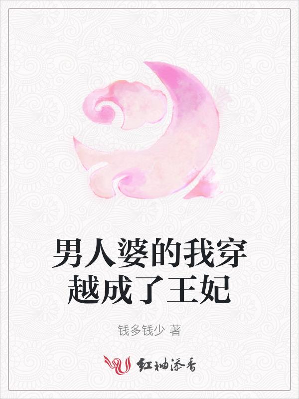 男人穿越后成了王妃是什么电视剧