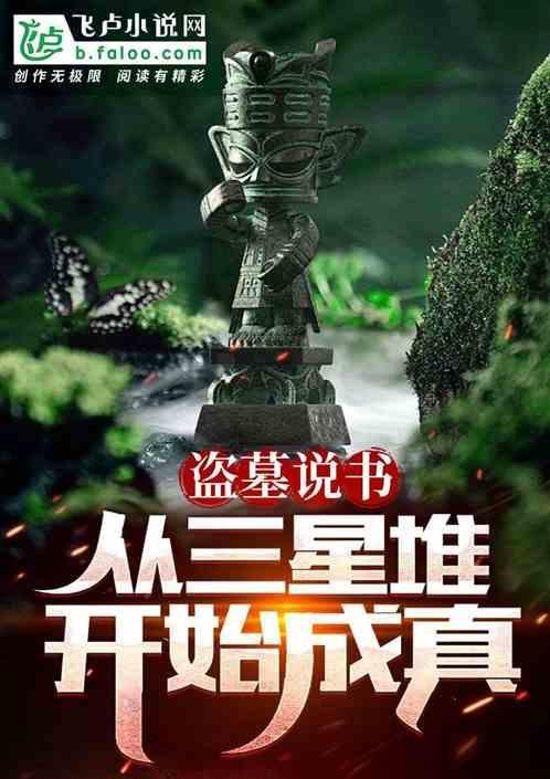 讲盗墓的书