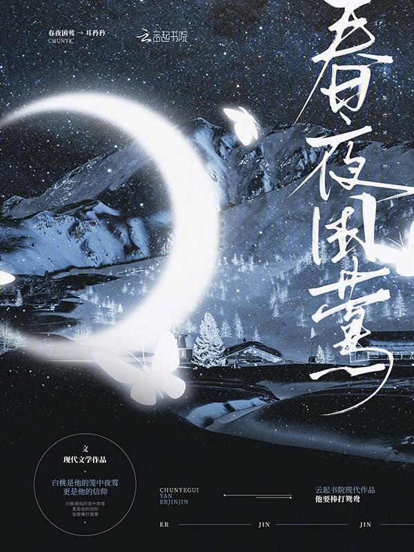 春夜全诗的意思