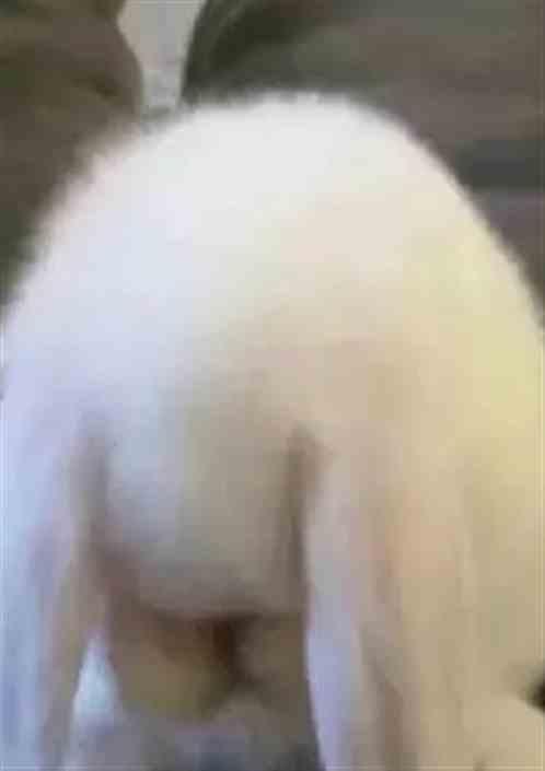 老曹老曹 顺口溜