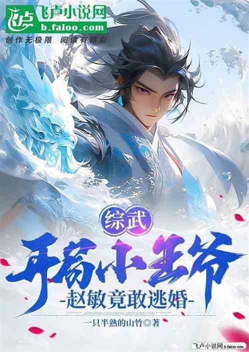 综武侠之赵敏