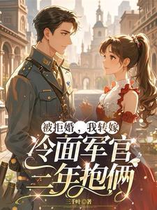 闪婚嫁给特种兵军长