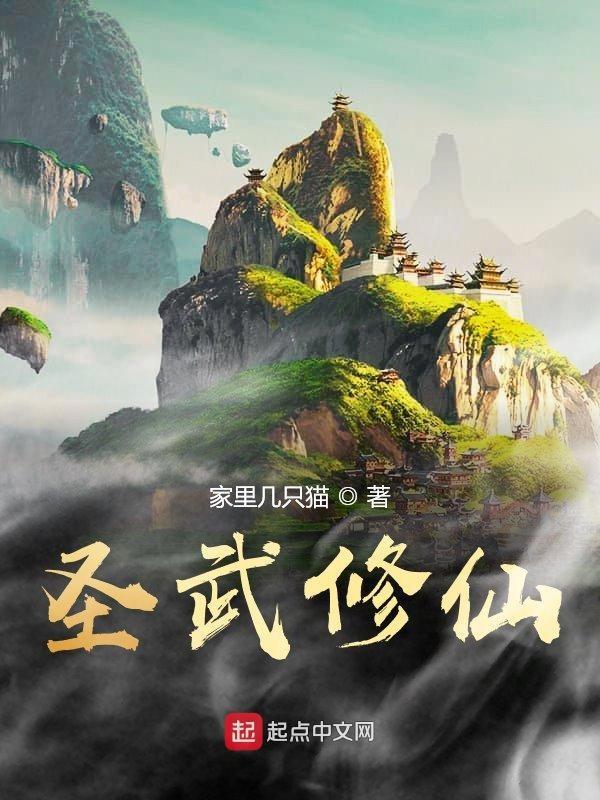 圣武修罗txt