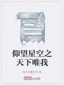 仰望星空下一句可以怎么说