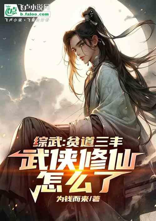 综武侠之道家