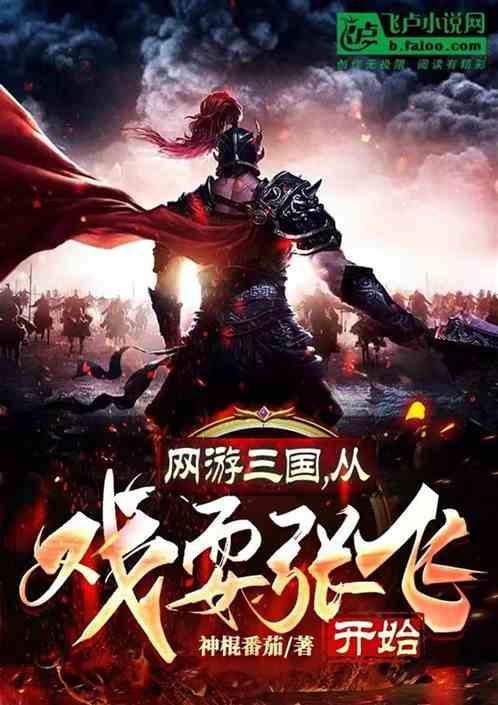 网游之三国从山贼开始