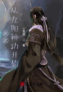 综武100层九阳神功卡夜阁
