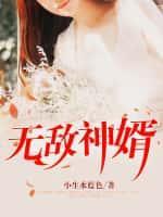 无敌神婿全文阅读