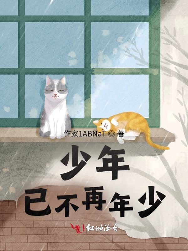 少年已不再年少什么意思