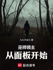 巫师领主从面板开始篱笆好文学