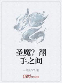 圣魔反转