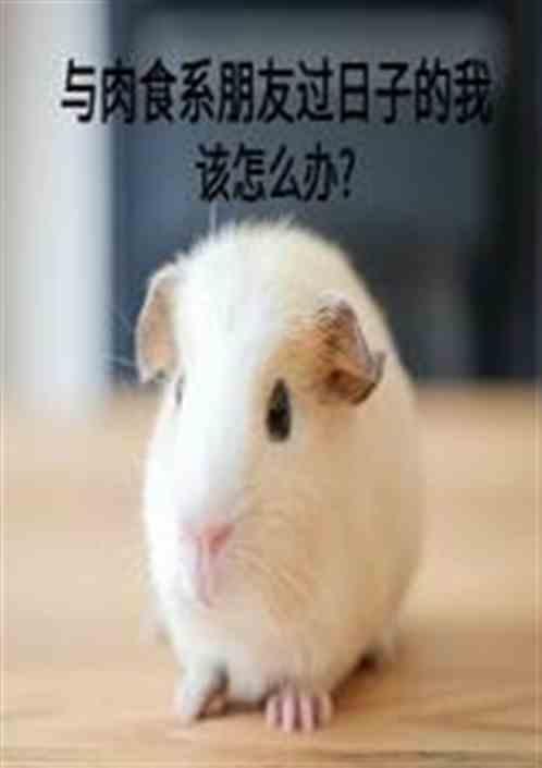 一起吃肉的朋友叫什么朋友
