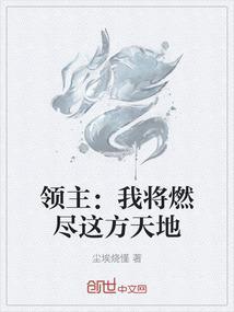 领主我将燃尽这方天地