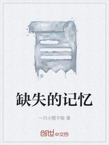缺失的记忆动漫
