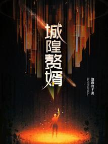 赘婿城中初记上