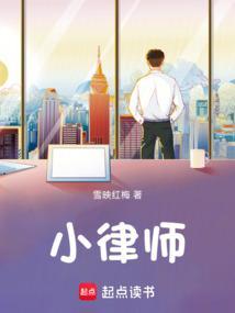 小县城律师