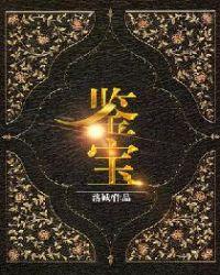 鉴宝无双免费阅读全文