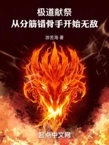 极道流是指什么